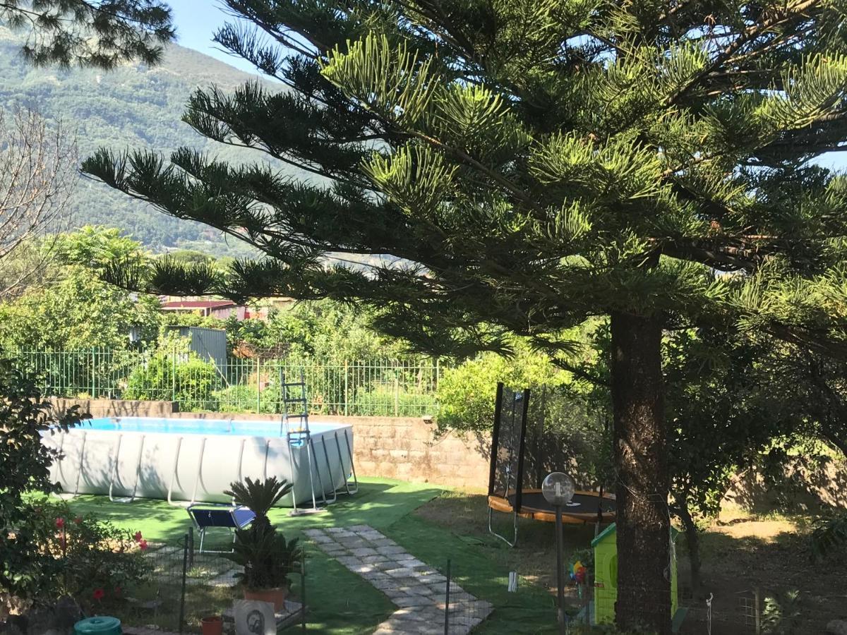 B&B La Magnolia กาสเตลลัมมาเร ดิ สตาเบีย ภายนอก รูปภาพ